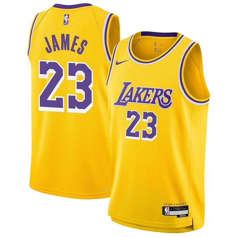 Bellissimo Raffinato LeBron James Los Angeles Lakers Nike Youth Swingman Jersey Icon Edition Gold