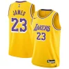Bellissimo Splendido Moderno LeBron James Los Angeles Lakers Nike Youth Swingman Jersey Icon Edition Gold