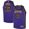 Carino Splendido Versatile LeBron James Los Angeles Lakers Jordan Brand Youth Performance Swingman Jersey Statement Purple