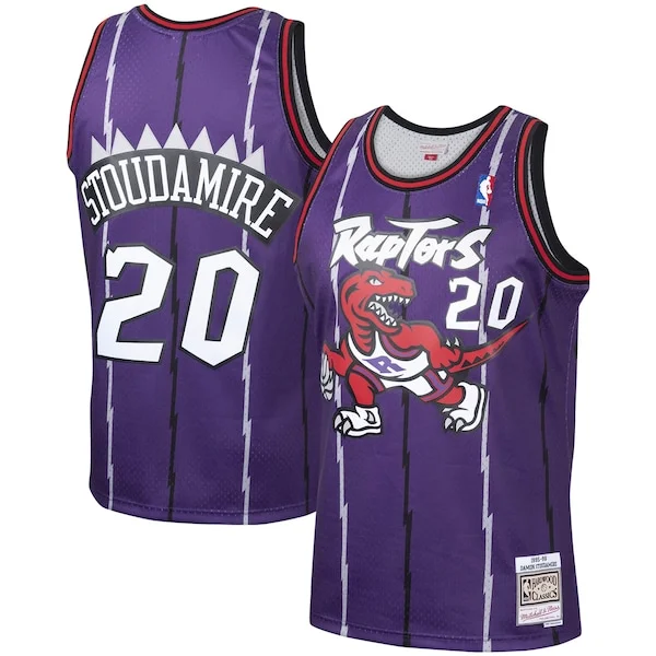 Comodo Damon Stoudamire Toronto Raptors 1995/96 Hardwood Classics Swingman Jersey Purple