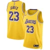 Delizioso Fascinante LeBron James Los Angeles Lakers Nike Unisex Swingman Jersey Icon Edition Gold/White