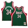 Raffinato Giannis Antetokounmpo Milwaukee Bucks 2013/14 Hardwood Classics Swingman Jersey Hunter Green