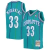Sofisticato Moderno Alonzo Mourning Charlotte Hornets Youth 1992/93 Hardwood Classics Swingman Jersey Teal